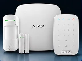 Alarm systems product imagery from the supplied Blackfin brochure